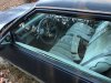 1986 Buick 3.jpeg