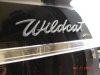 Wildcat gets polished 005.JPG