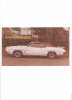 white:red70Judge_twotone-1.jpg