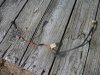 100_0666.JPG