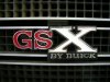 grill emblem resized.jpg