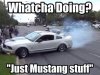 mustangstuff.jpg