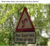 IMG_0132.jpeg