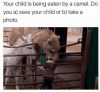 child-is-being-eaten-by-camel-do-save-child-or-b-take-photo.png