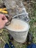 IMG_2549.jpeg