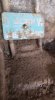 IMG_7375.jpeg