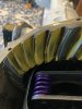 IMG_3777.jpeg