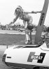 Linda Vaughn 300 bow close up.jpg