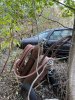 IMG_8057.jpeg