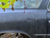 IMG_8054.jpeg
