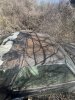 IMG_3155.jpeg
