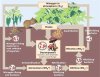 nitrogen_cycle_EPA.jpg