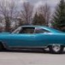67wild