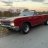 Nailhead Rdstr